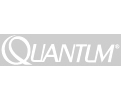 quantum