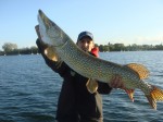 Abu Garcia Fantasista Oren'Ji 9ft 2,80m 40-80g Bild 8