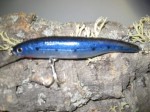Hart Wobbler The Gummy 9,8g 95mm Twitchbait Bild 3